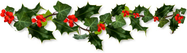 holly-border1